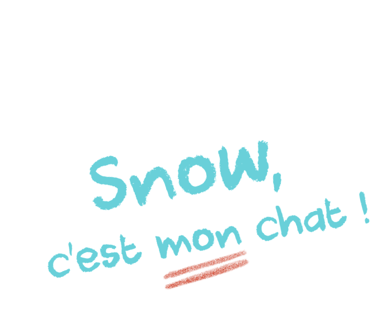 Snow le Chat de Gadou